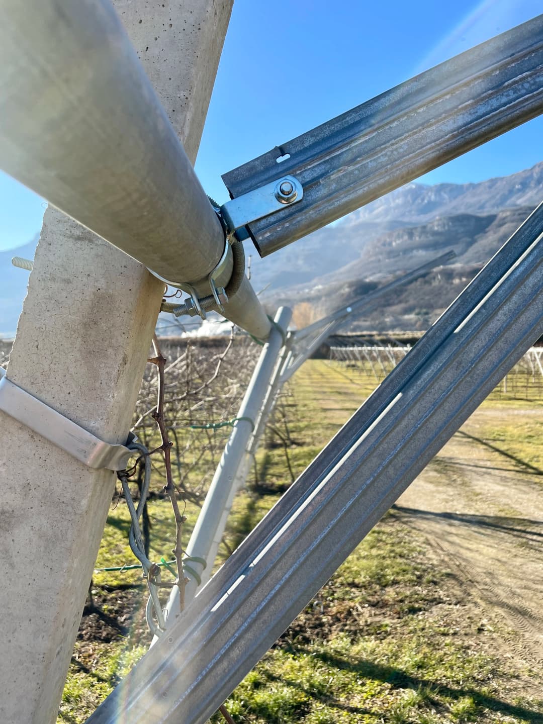 Collare porta tubo testata da 2'' - vista 2