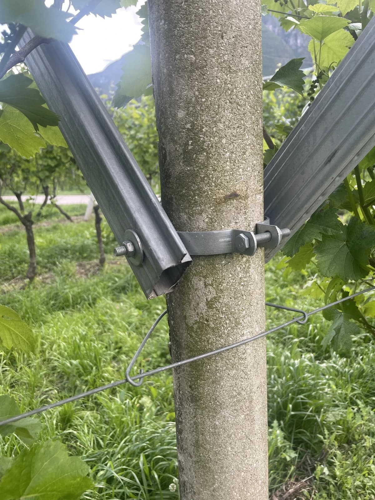 Collare rotondo doppio