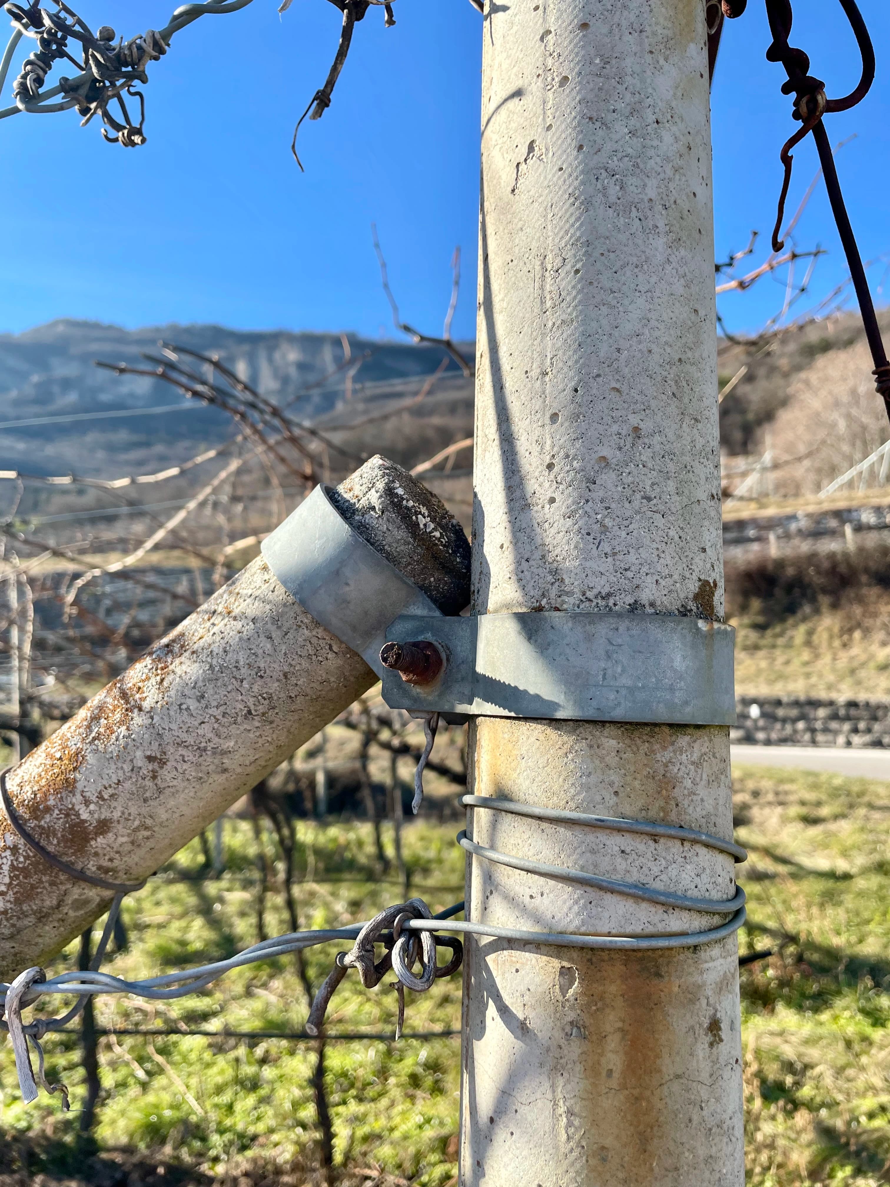 Collare rotondo di testata-freccia
