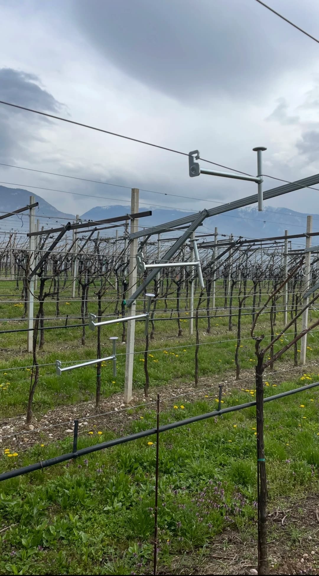 Tensionatore - vista 2