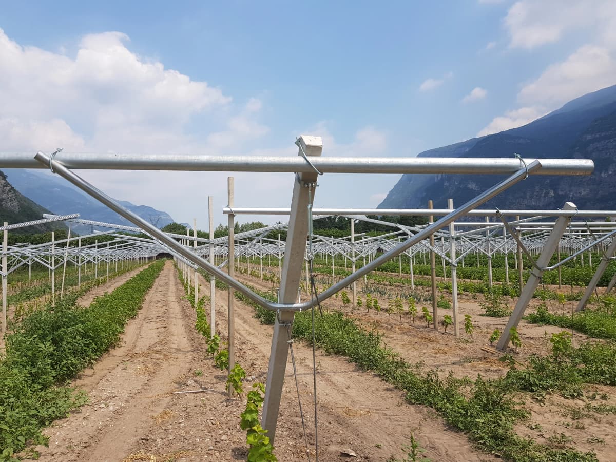 Accessori di testata per pali da vigna