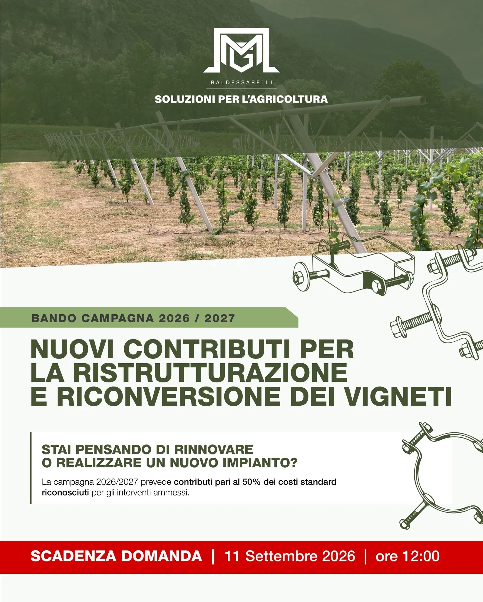 Bando 2026/2027 per i contributi alla ristrutturazione e riconversione dei vigneti