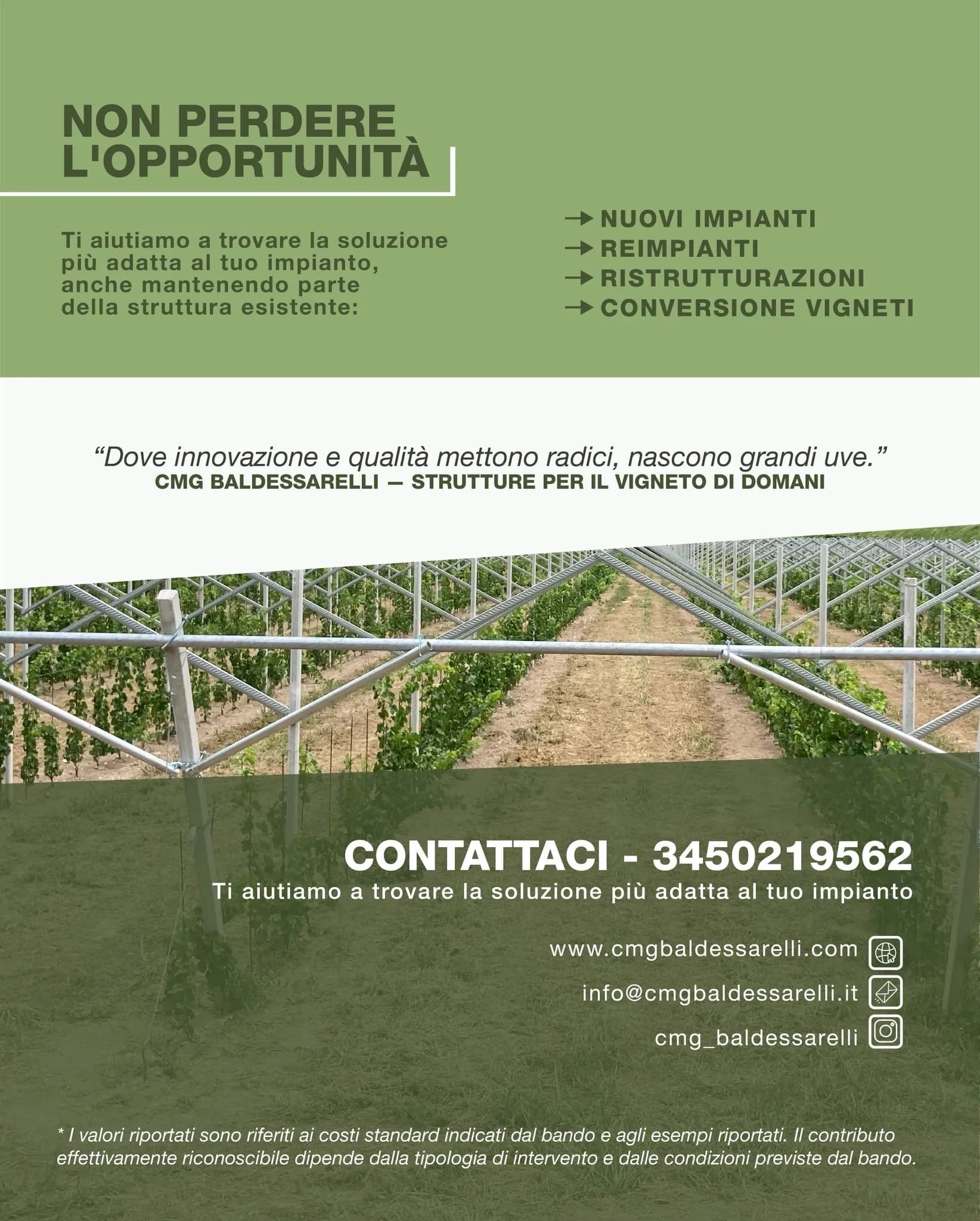 Servizi CMG Baldessarelli per nuovi impianti, reimpianti e ristrutturazione dei vigneti