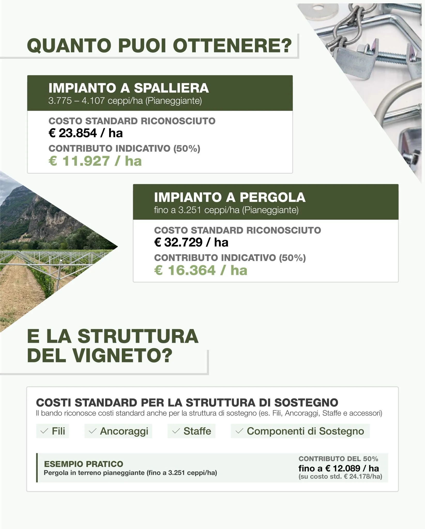 Infografica sui contributi per ettaro e sui costi standard delle strutture per vigneto